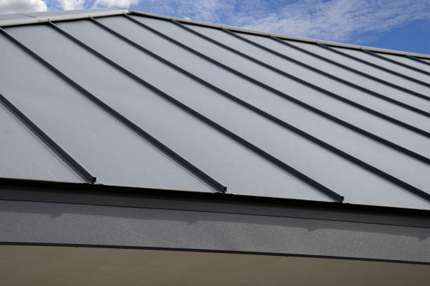 Best Solar Panel Roofing Installation  in Sylvester, GA