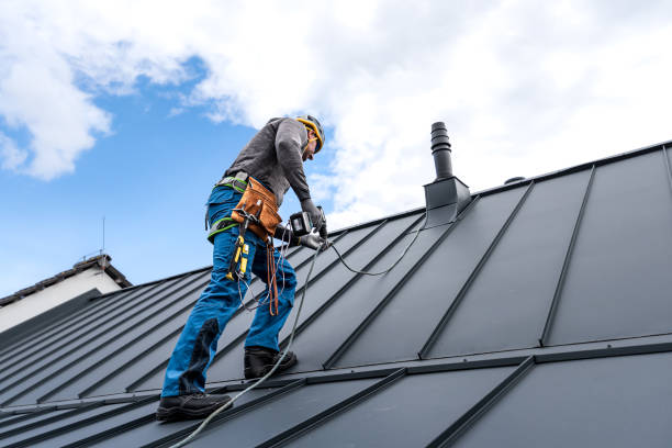 Best Sheet Metal Roofing  in Sylvester, GA